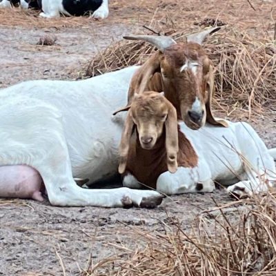 307528898_3308661786072882_3212531411201726112_n (1)