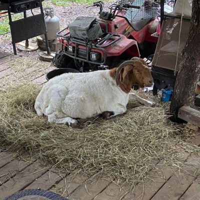 309238004_577155380853676_2104892245147171546_n (2)