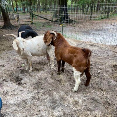 309880356_507974910729772_1504590069352339270_n (1)